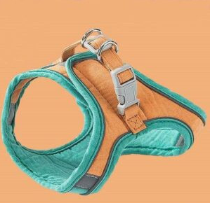 ARNES PARA MASCOTA